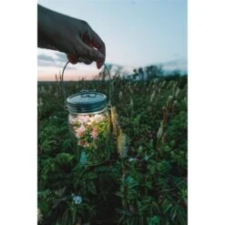 Sonnenglas® Classic (Solarlampe)Genereation 6 NEW -Taschenrabatte sonnenglasz classic solarlampegenereation 6 new4